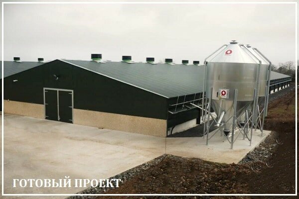 Этапы возведения птицефабрики от завода ВелесТент-стж